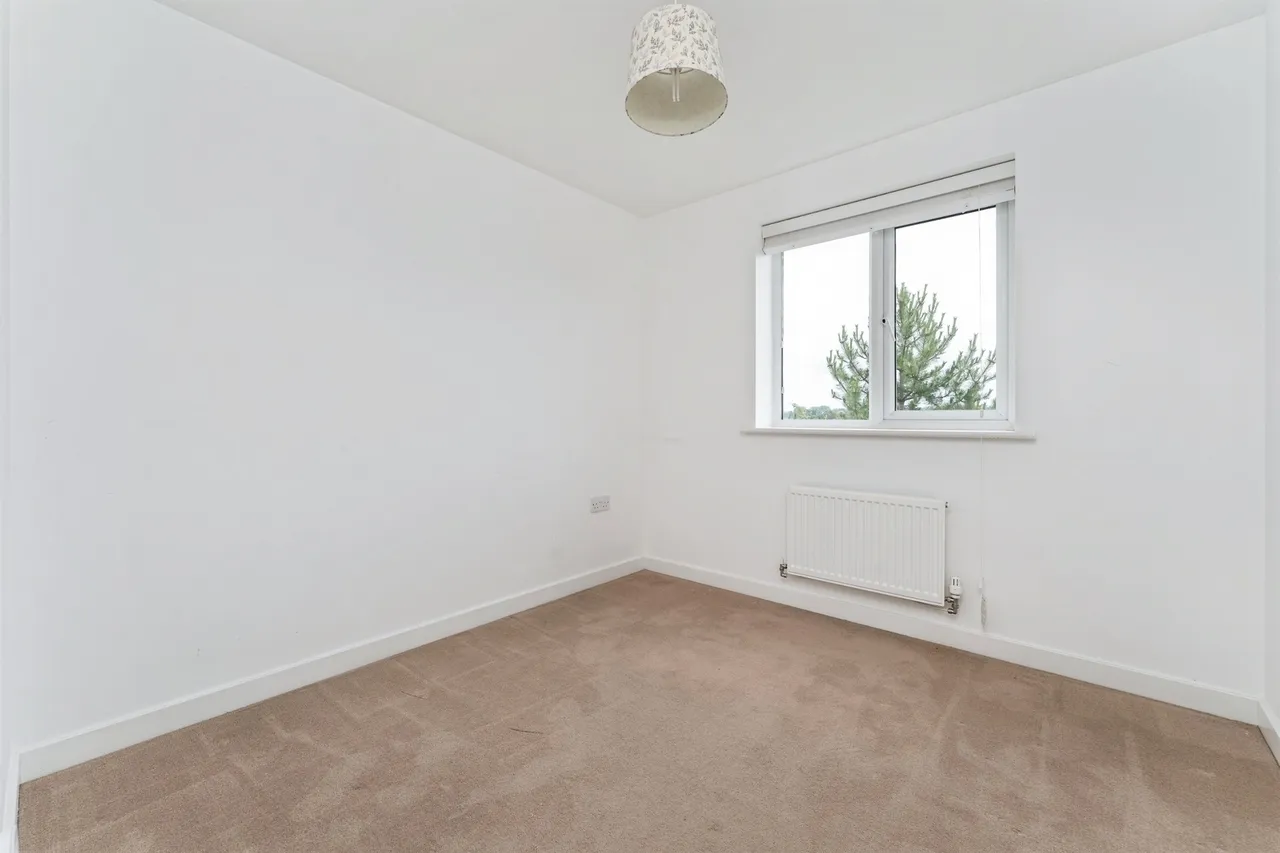 Harrow Drive, Bury St. Edmunds, IP28, photo 13