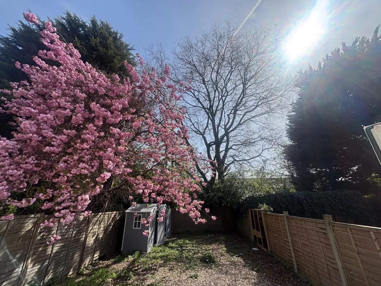Beeston Road, Dunkirk, NG7, photo 8