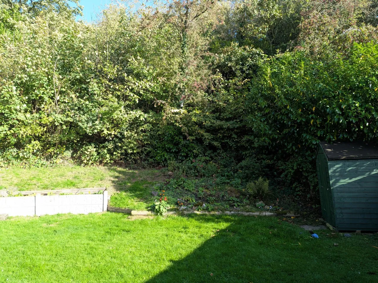 Woodlands, Wrockwardine Wood, TF2, photo 31