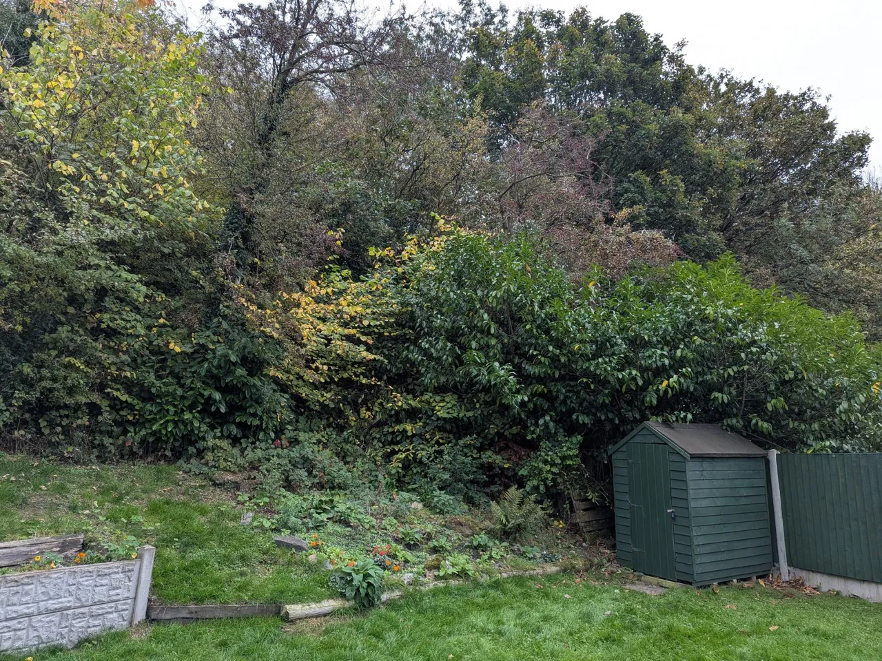 Woodlands, Wrockwardine Wood, TF2, photo 30
