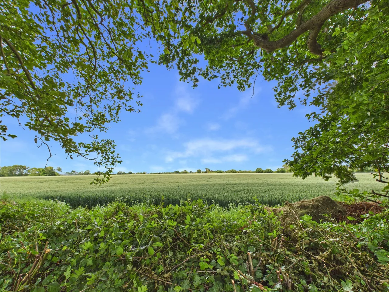 Bradfield Road, Wix, CO11, photo 10
