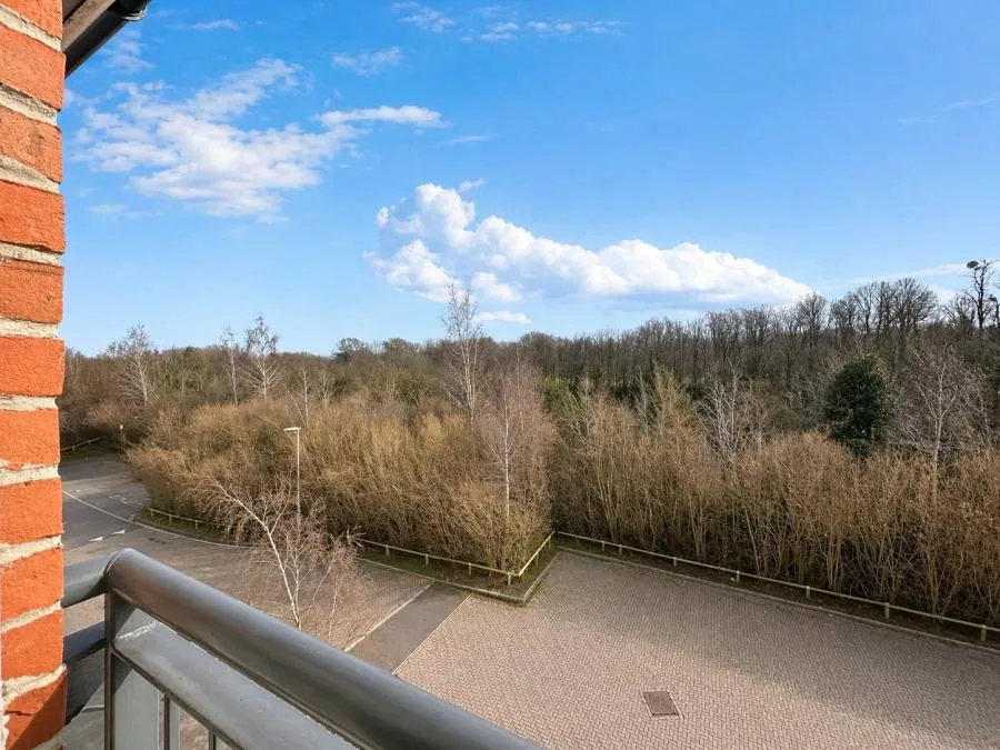 Skippetts Gardens, Basingstoke, RG21, photo 7