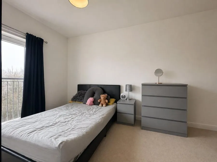 Skippetts Gardens, Basingstoke, RG21, photo 4