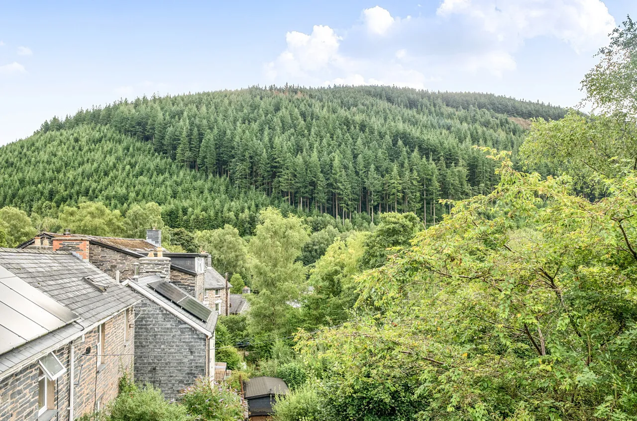 Bridge Street, Corris, photo 23