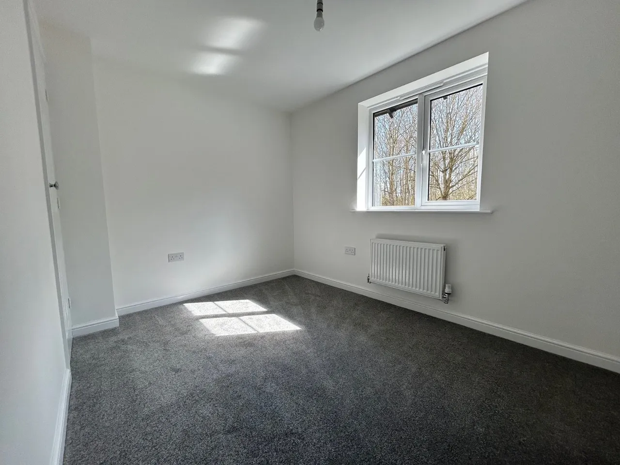Curlew Street, Poolsbrook, S43, photo 6