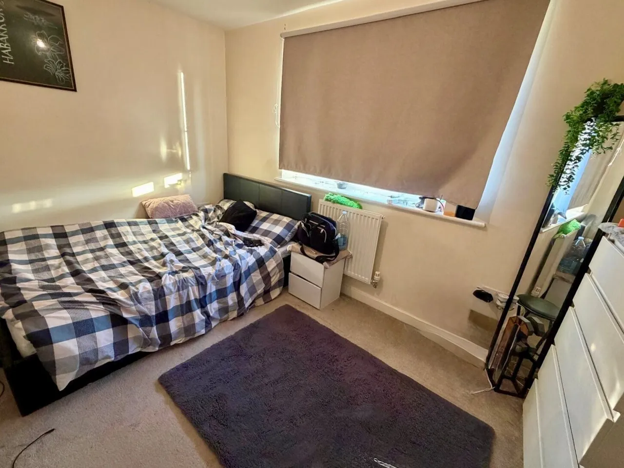 Bellona Drive, Peterborough, PE2, photo 7