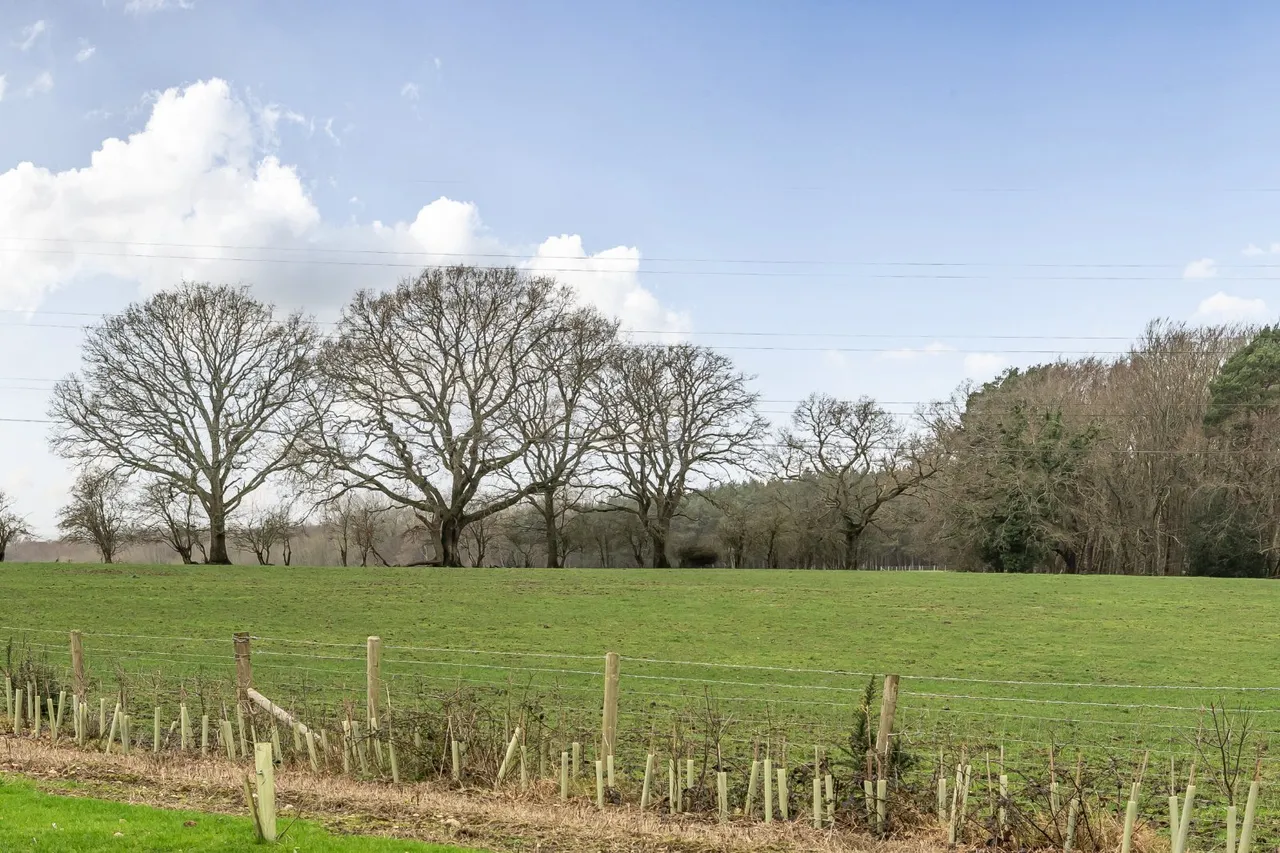 Hoe Lane, North Baddesley, SO52, photo 22