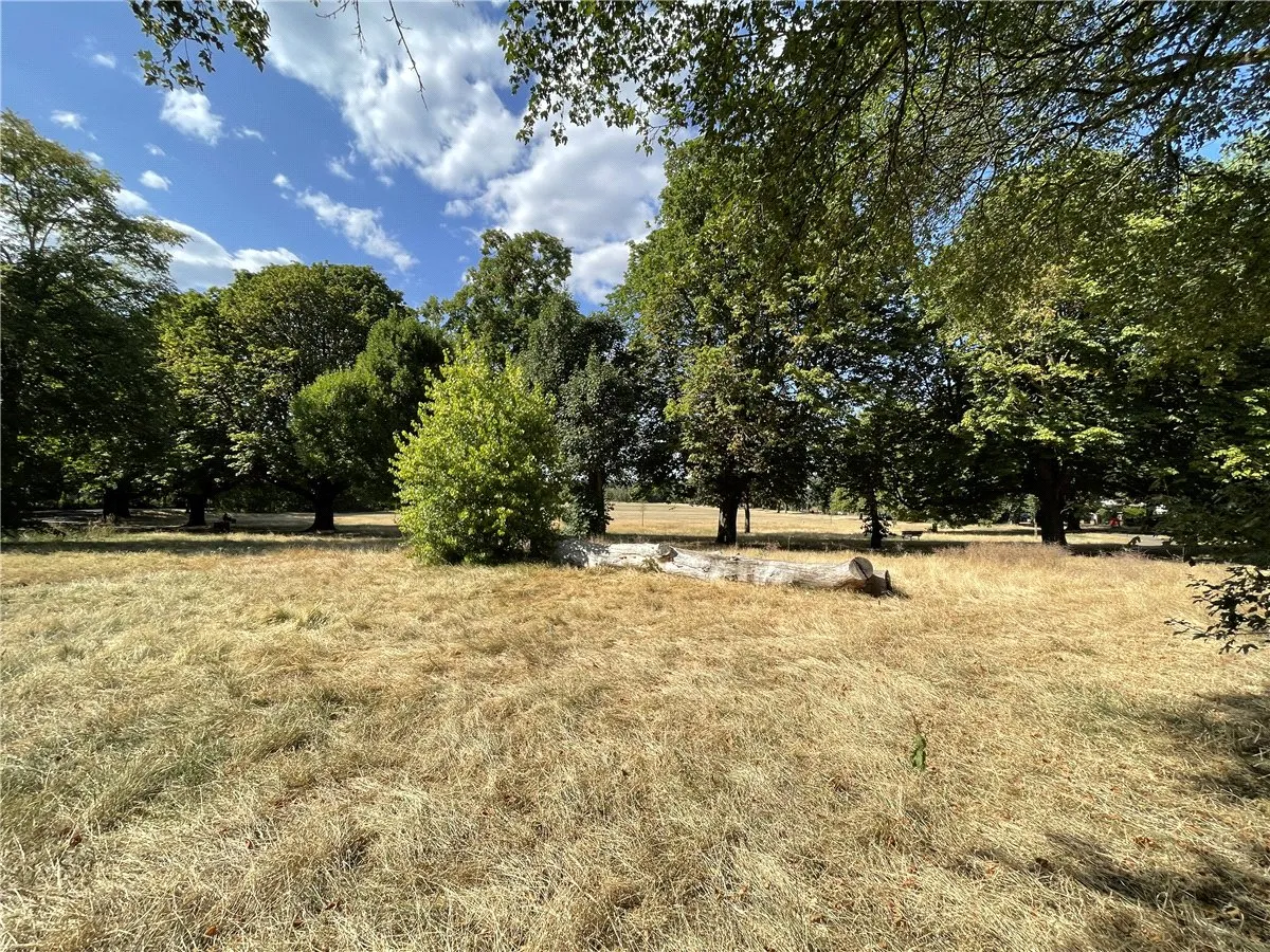 Nightingale Lane, London, SW12, photo 17