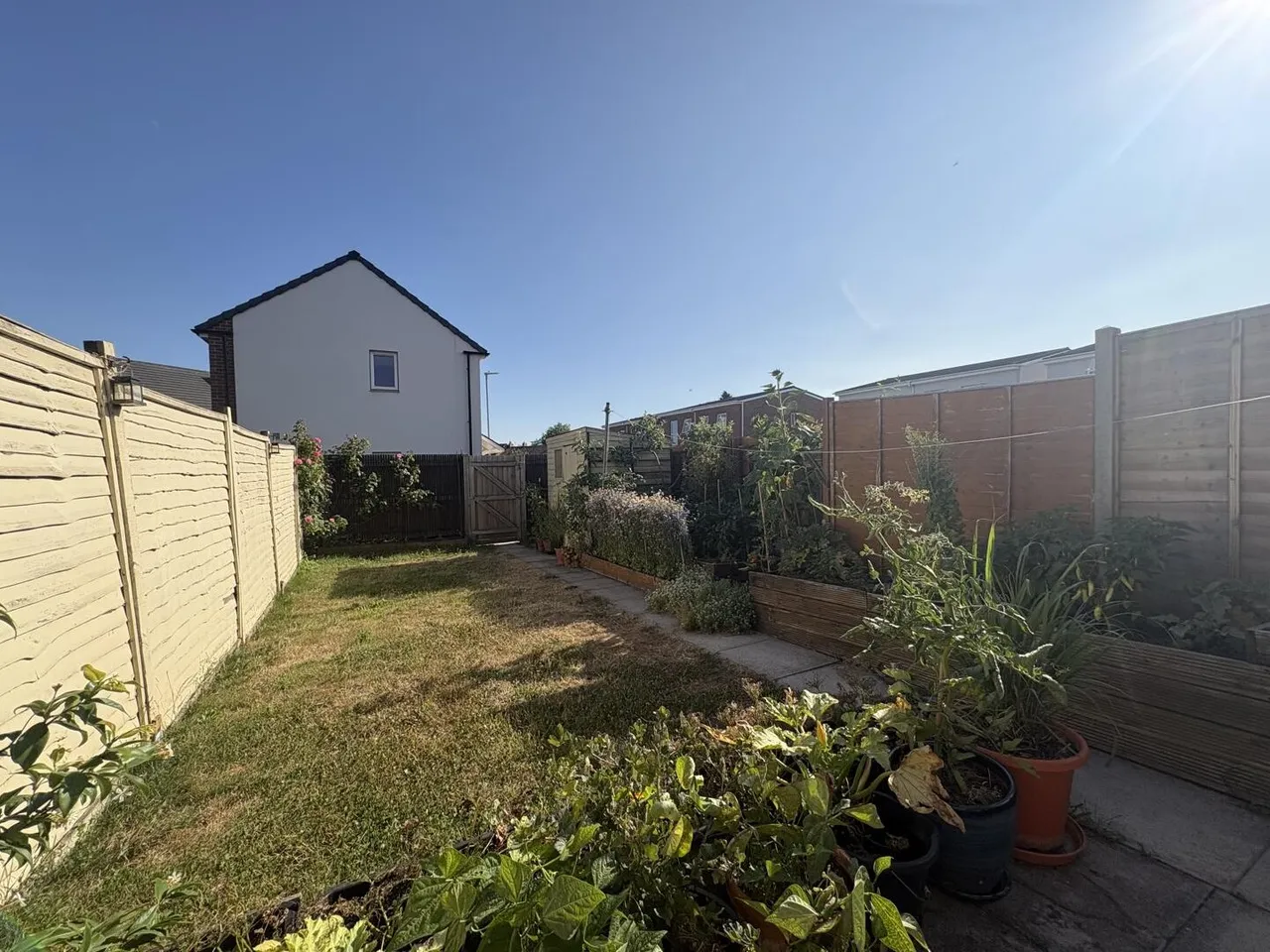 Bonsmara Drive, Bridgwater TA6 4BD, photo 4