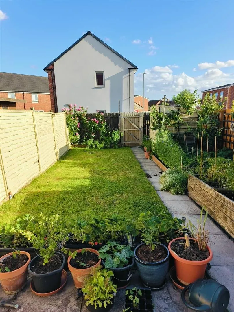 Bonsmara Drive, Bridgwater TA6 4BD, photo 16