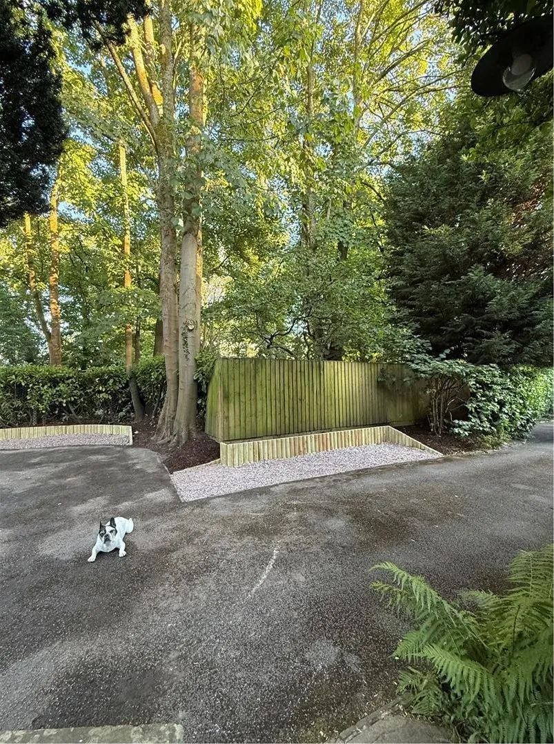 Bollin Grove, Prestbury, photo 46