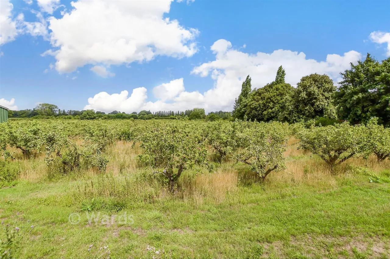 Horseshoes Lane, Langley, ME17, photo 7