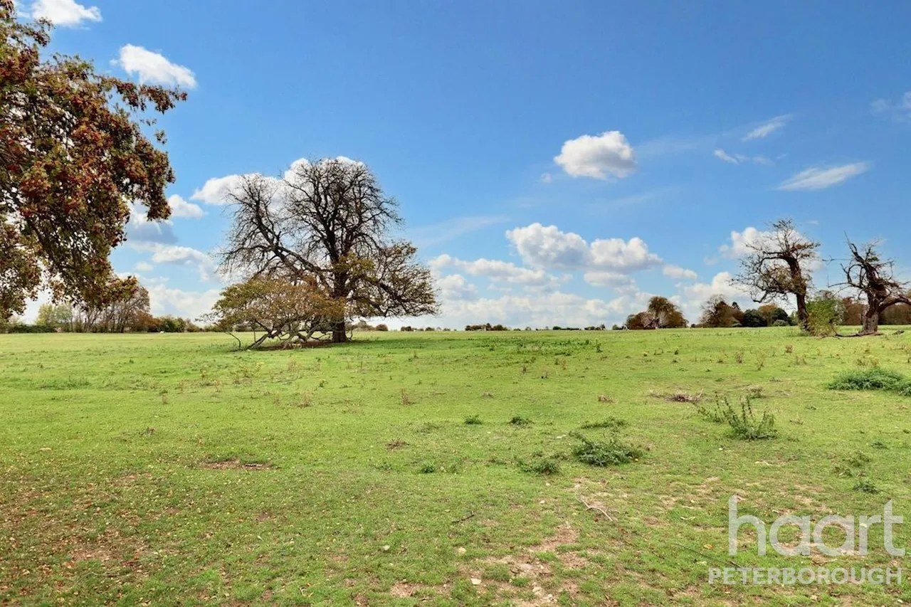 Meadow View Great North Road, Norman Cross, PE7, photo 38