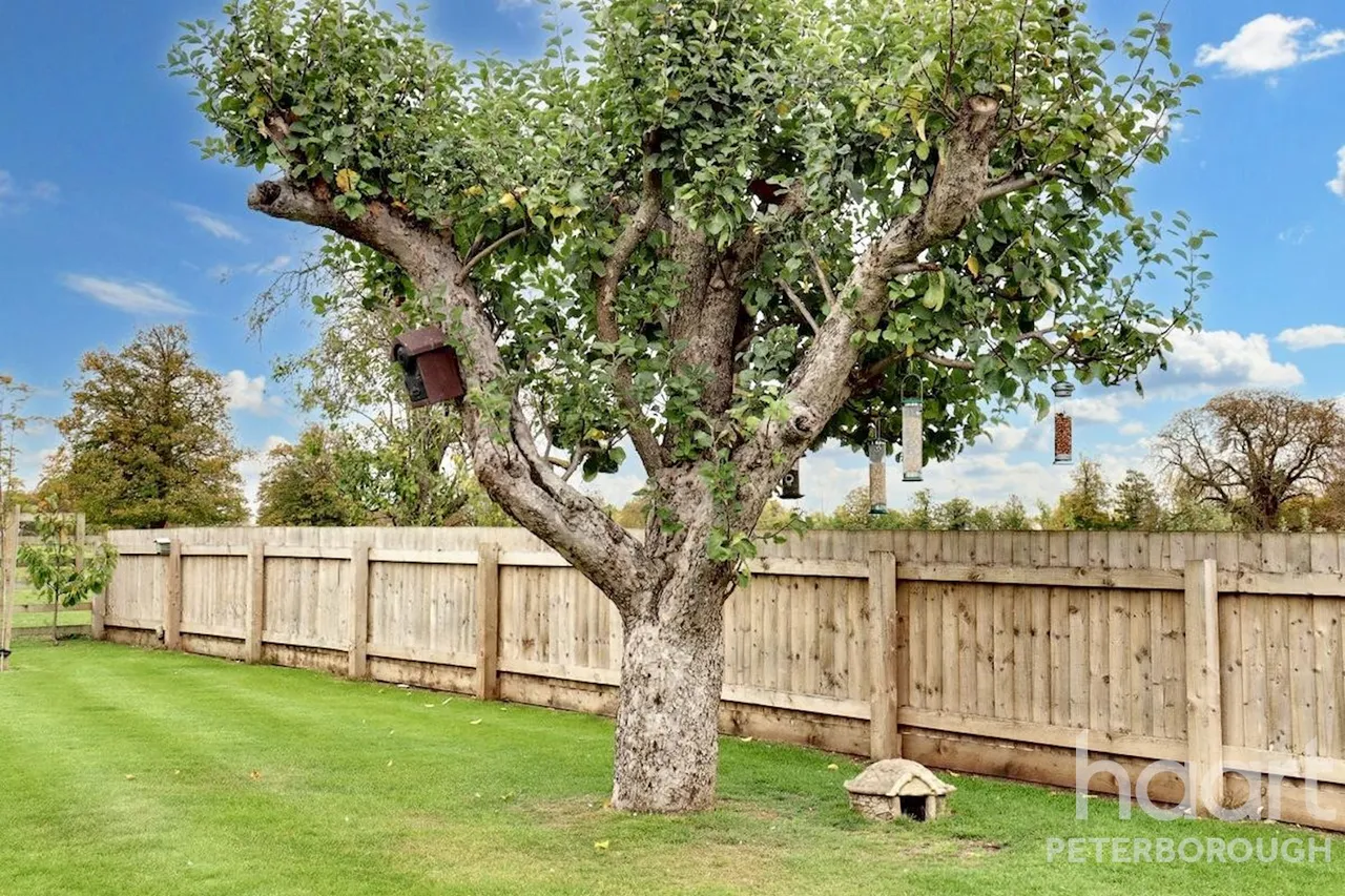 Meadow View Great North Road, Norman Cross, PE7, photo 36