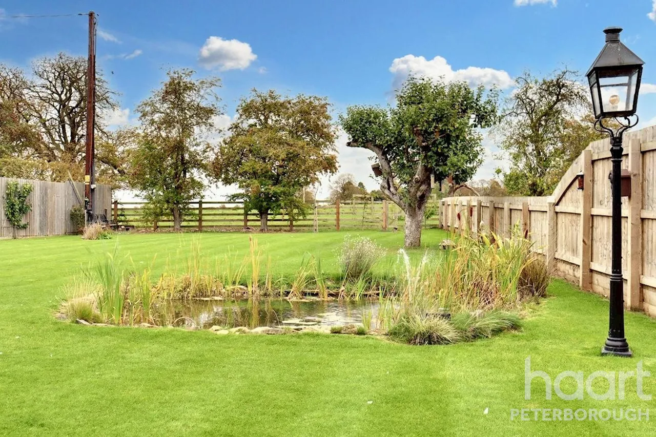 Meadow View Great North Road, Norman Cross, PE7, photo 34