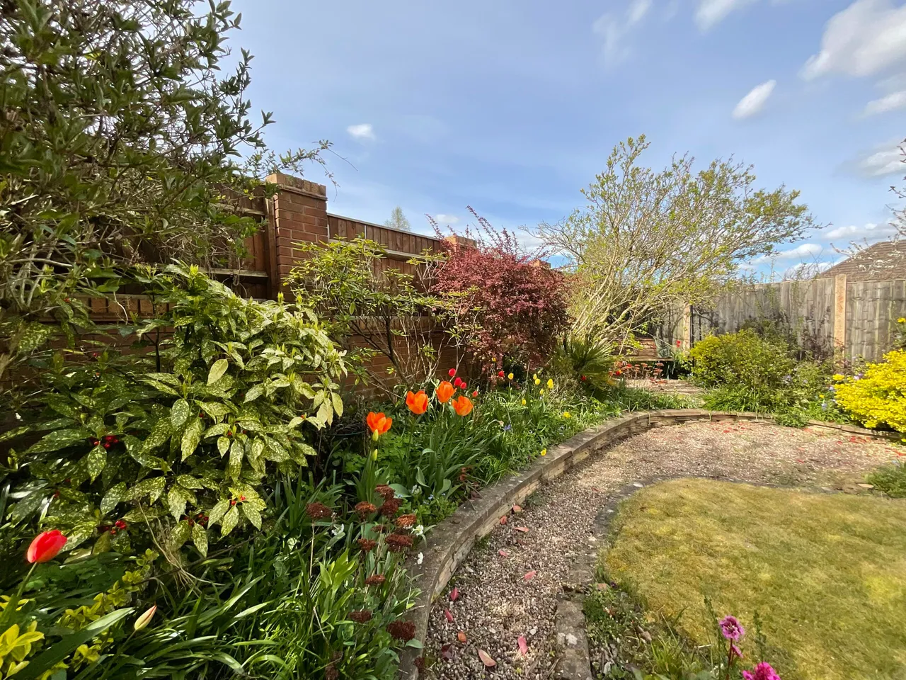 Arlington Way, Stoke-On-Trent, ST3, photo 27