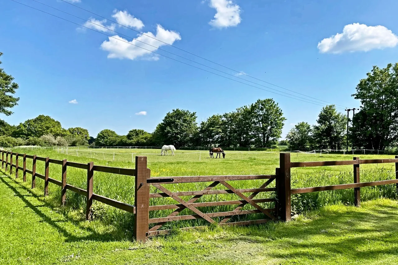Hatfield Heath Road, Sawbridgeworth, CM21, photo 26