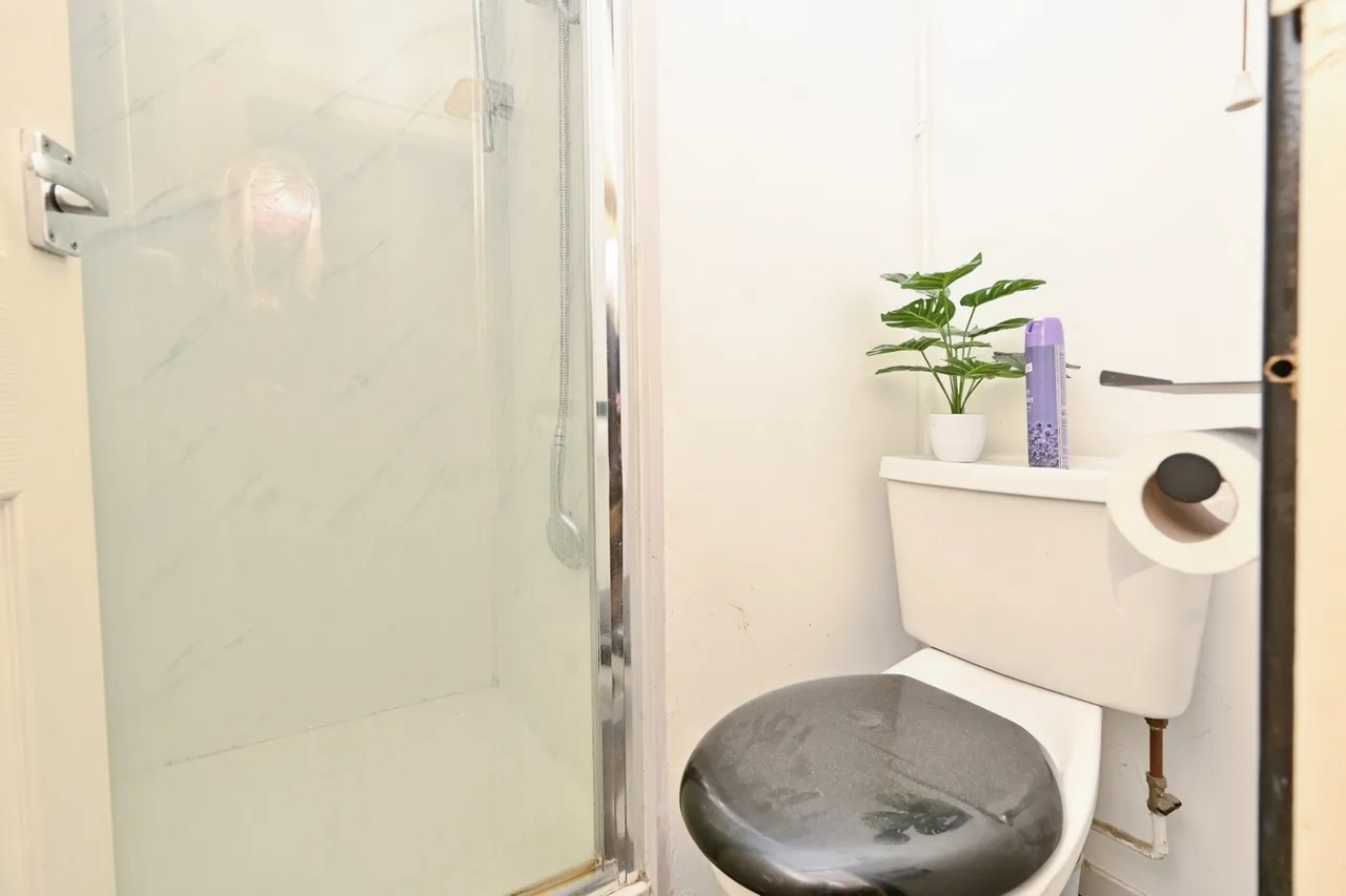 Ashton Road, Luton, Bedfordshire, LU1, photo 9