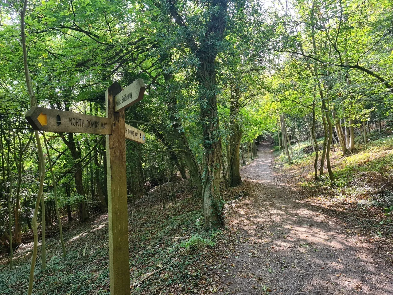 Caterham Lodge, 2 Stafford Road, Caterham, Surrey, CR3, photo 13