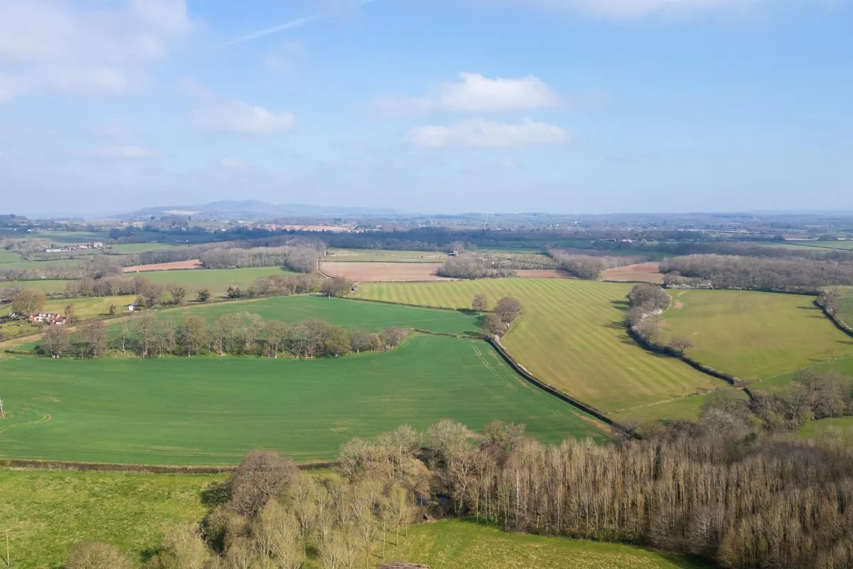 Little Green Broadwas, WR6, photo 21