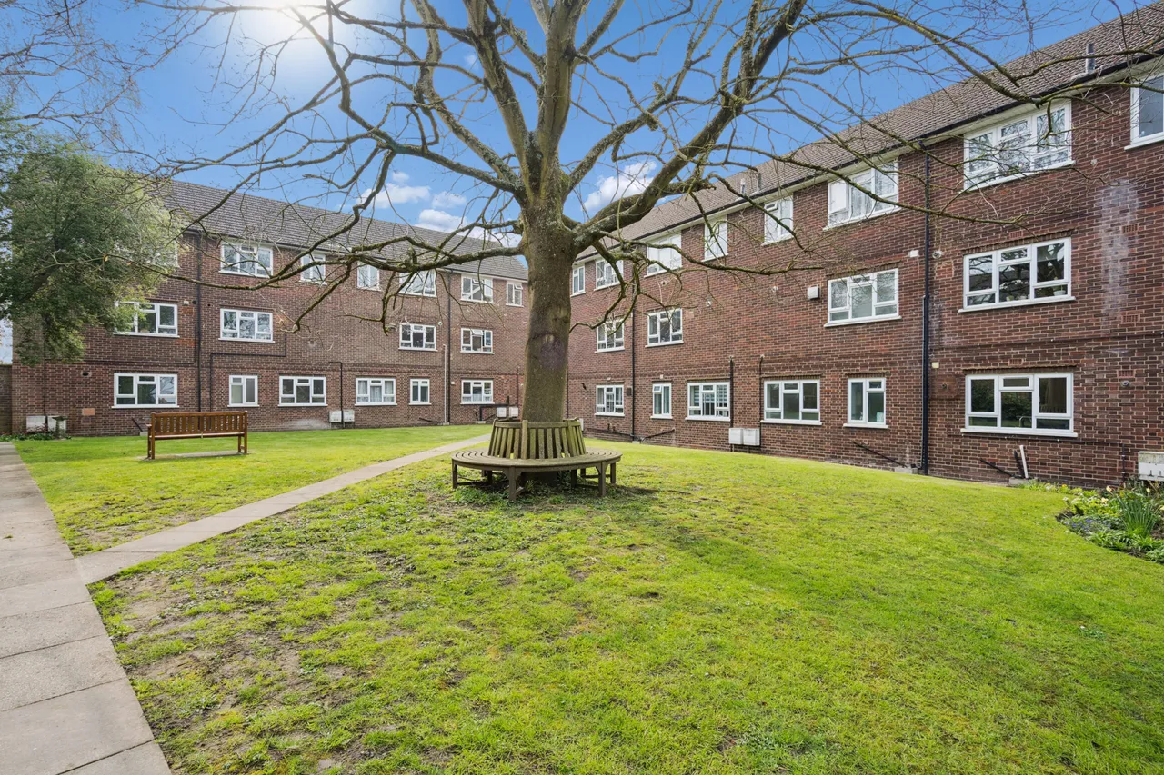 Bournehall High Street, Bushey, WD23, photo 12