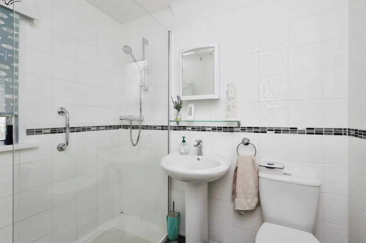 Mill Road, Hailsham, BN27, photo 11