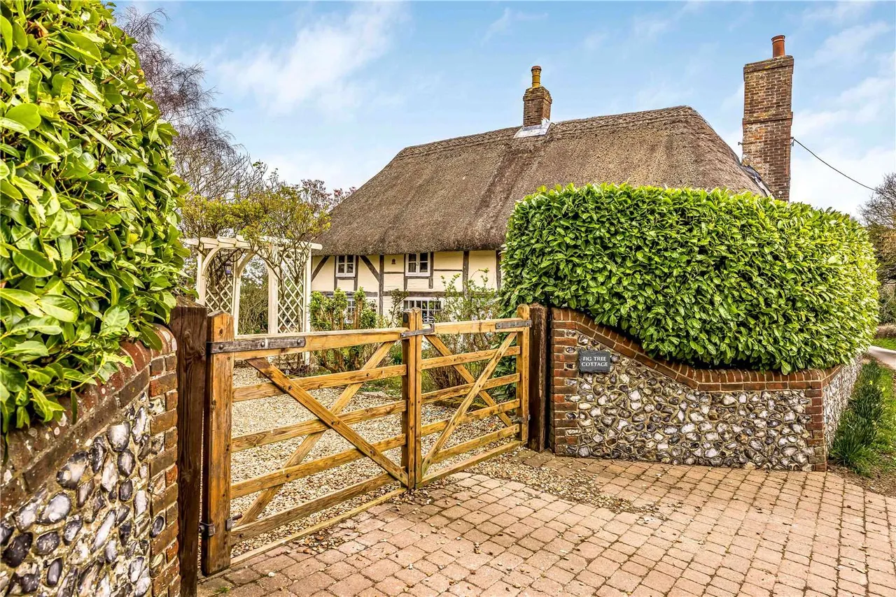 Blendworth, Waterlooville, Hampshire, PO8 0AG, photo 4