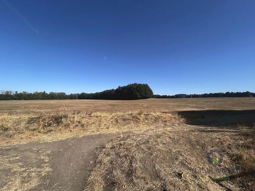 Dakota Close, Wallington, Surrey, SM6, photo 10