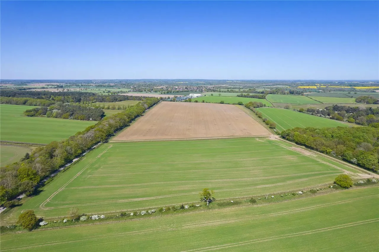 Park Farm, Bylaugh, Dereham, Norfolk, NR20 4QE, photo 4