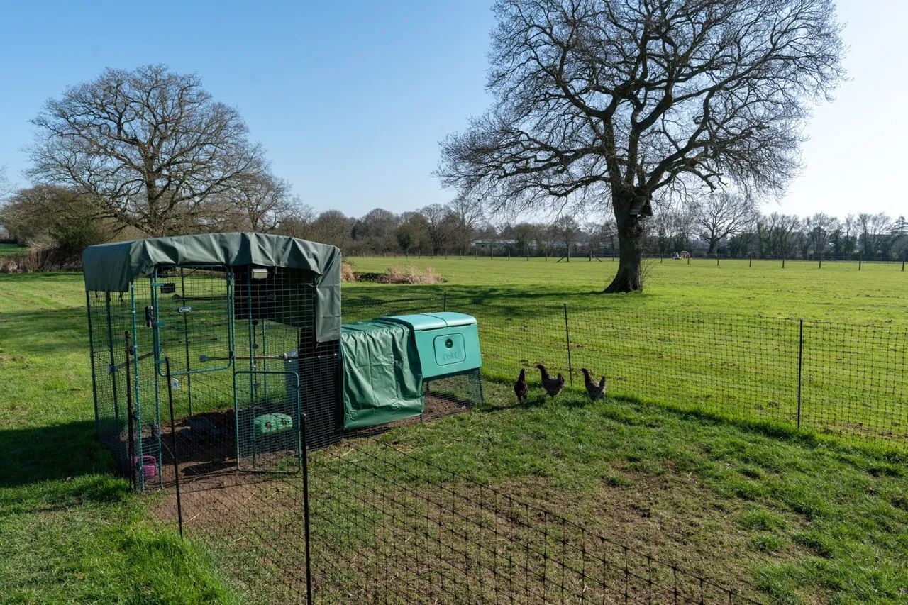 Bures Road, West Bergholt, CO6, photo 30