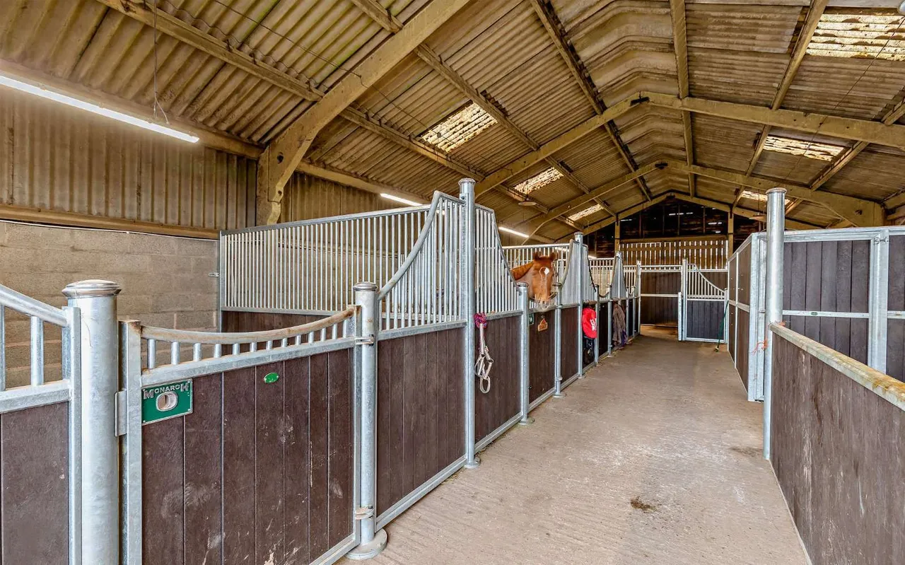 The Lloyd, Hales, TF9, photo 29