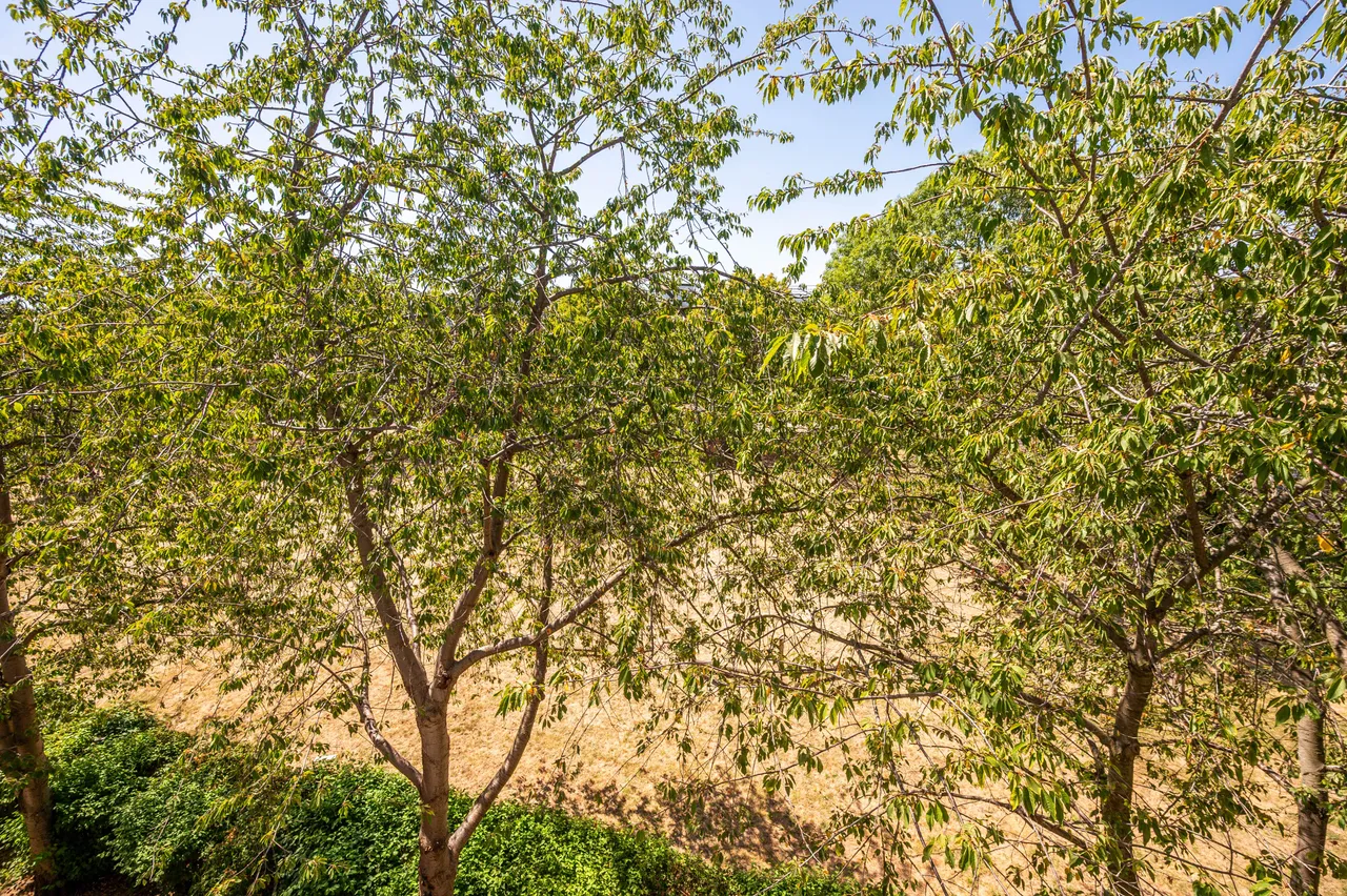 24 Dunnock Court, Elmworth Grove, London, photo 4