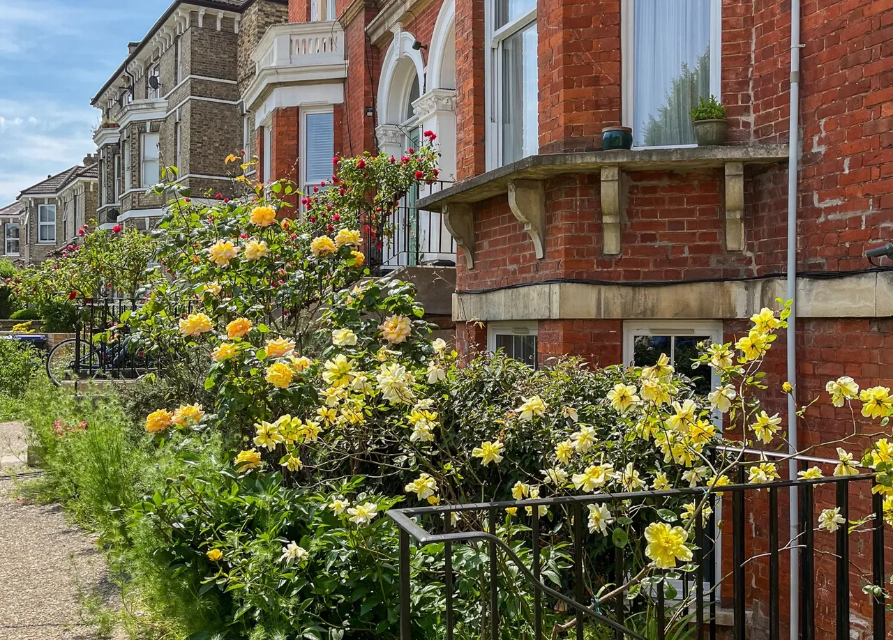 Anerley Park, Crystal Palace, SE20 8NF, photo 9