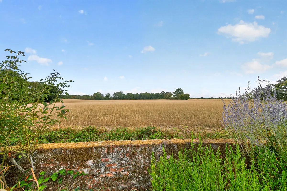 Church Lane, Baughurst Tadley, RG26, photo 37