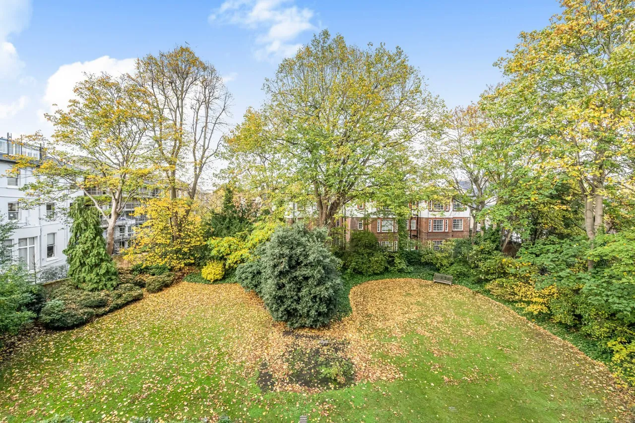 Belsize Grove, Belsize Park, NW3, photo 13