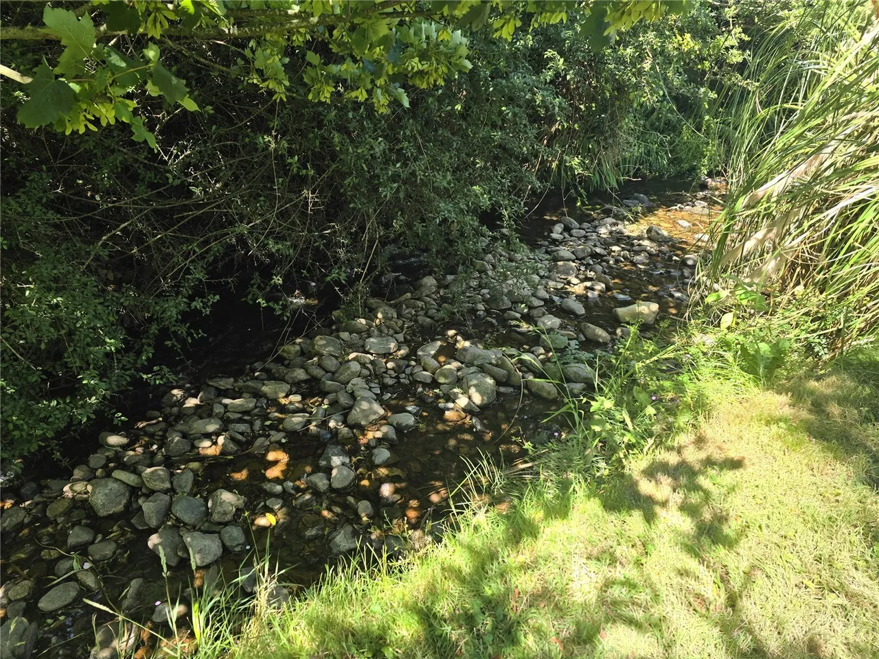 Aberdesach, Caernarfon, LL54, photo 19