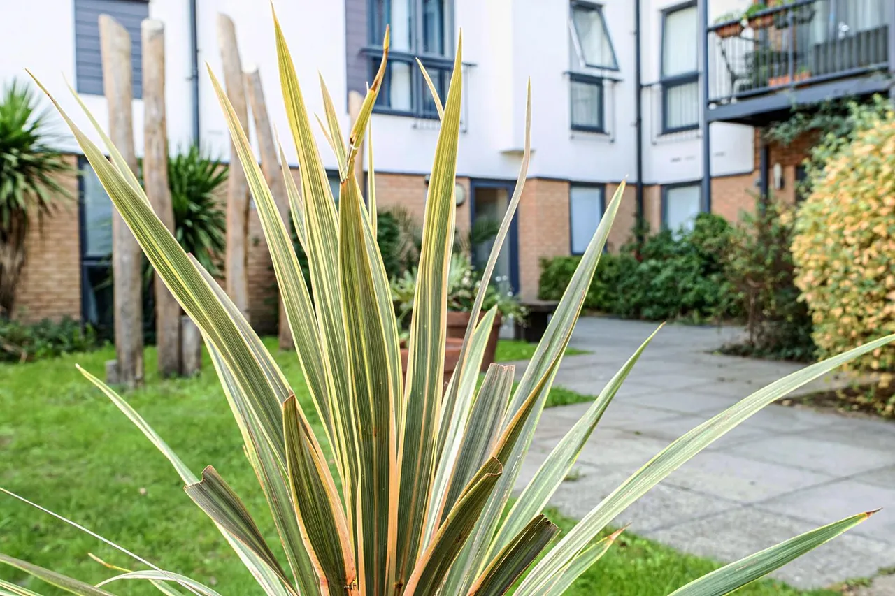 Fairthorn Road, SE7, photo 19