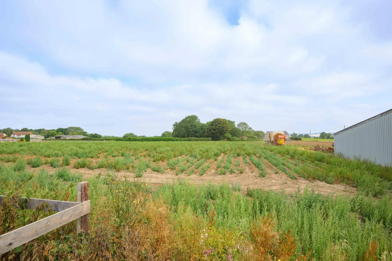 Main Road, Hundleby, PE23, photo 28
