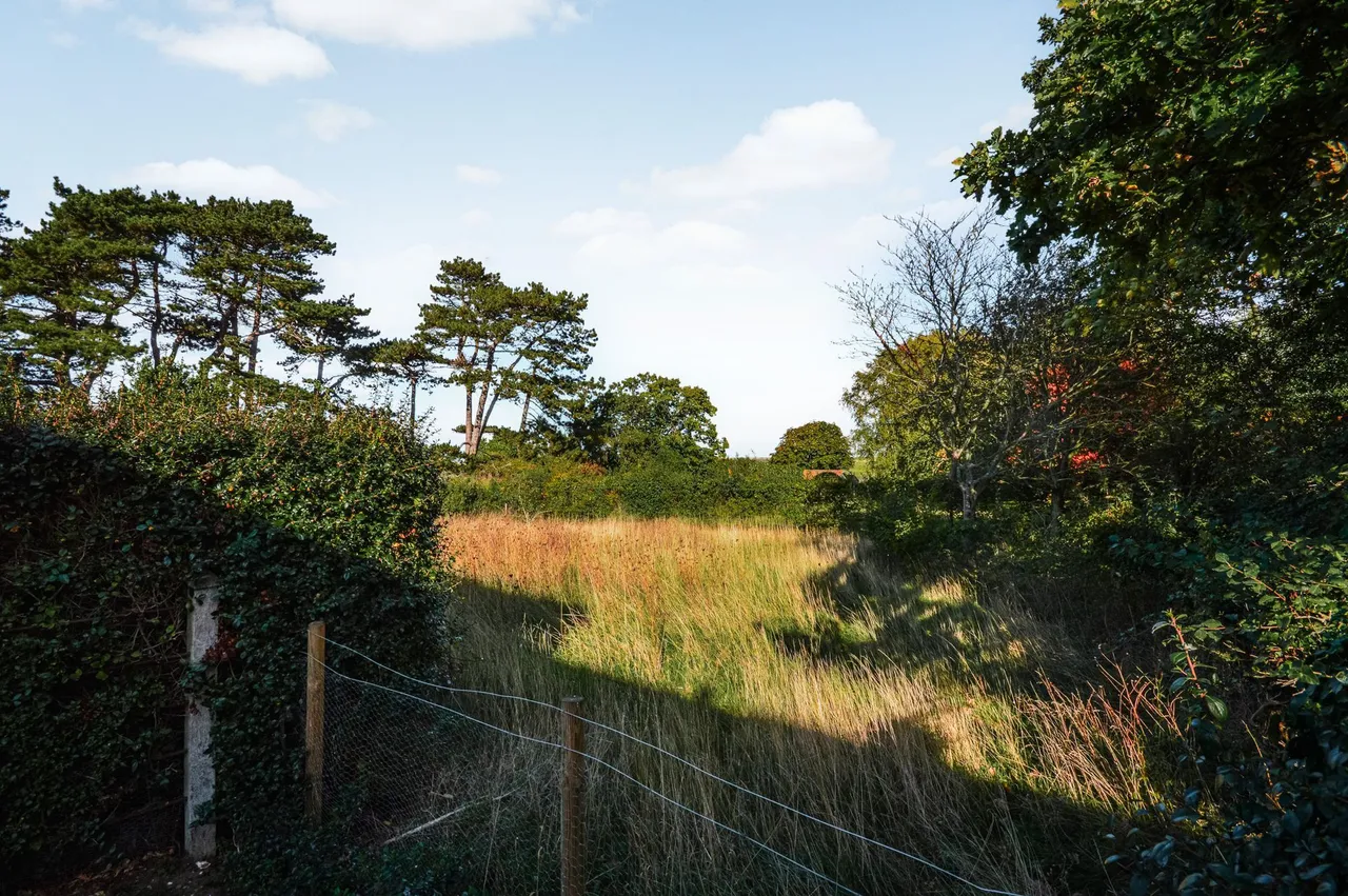 Burnham Norton, photo 22