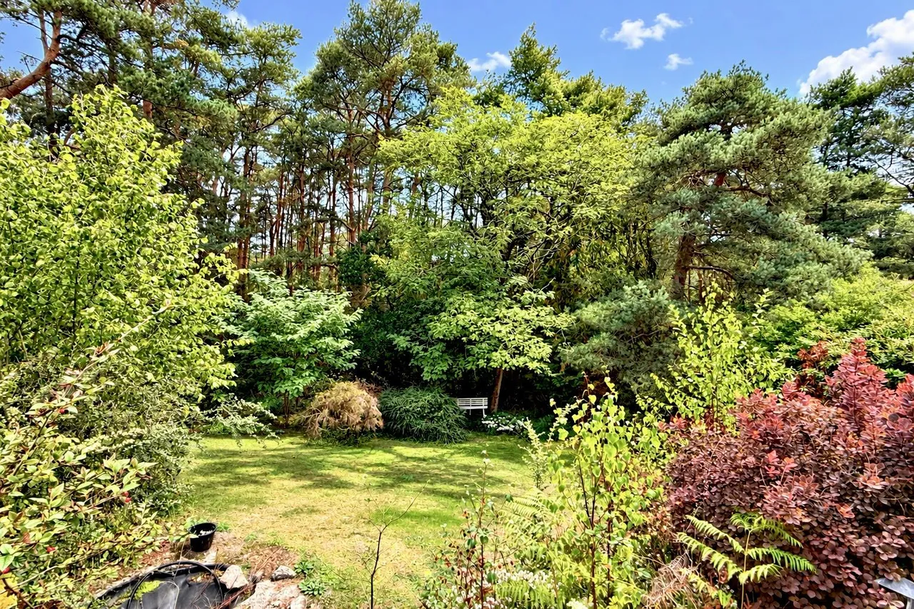 St. Ives Park, Ringwood, BH24, photo 13