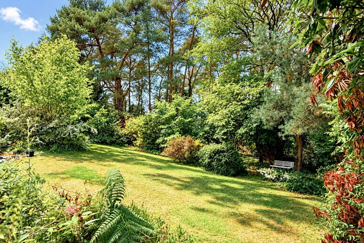 St. Ives Park, Ringwood, BH24, photo 2