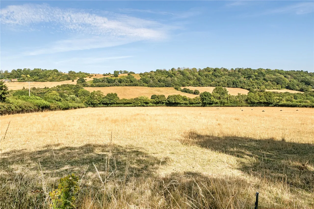 New Road, Norton Sub Hamdon, Stoke-Sub-Hamdon, Somerset, TA14 6SB, photo 22