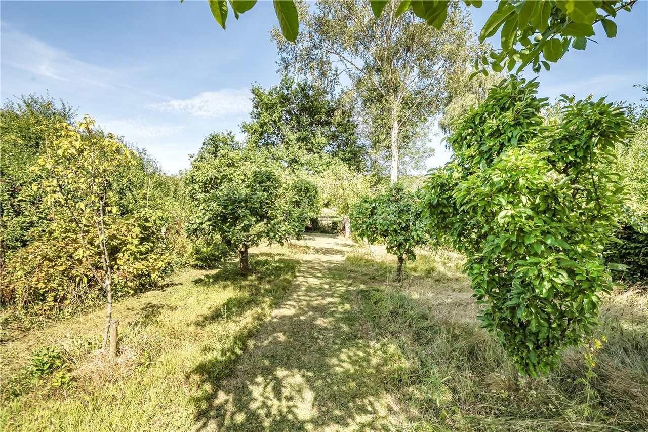 New Road, Norton Sub Hamdon, Stoke-Sub-Hamdon, Somerset, TA14 6SB, photo 20