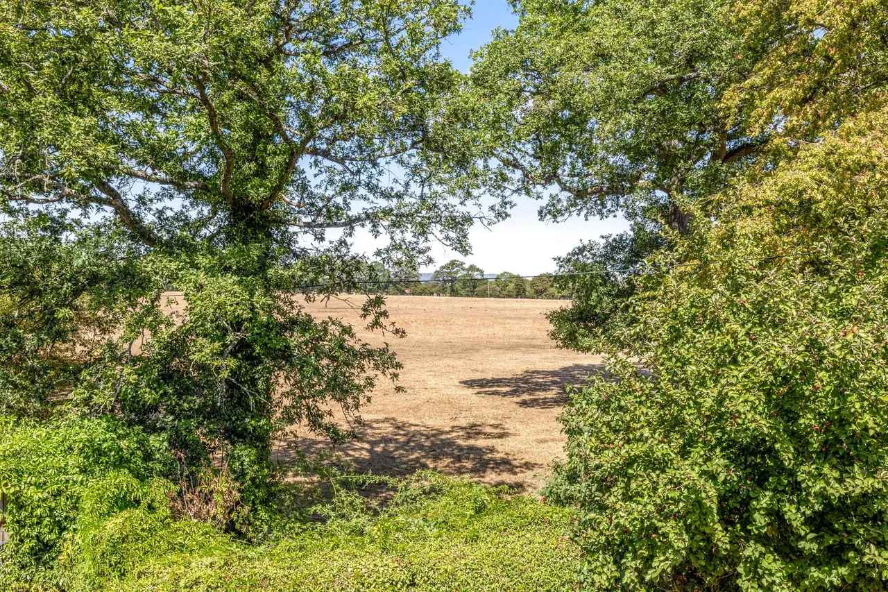 Bognor Road, Broadbridge Heath, RH12, photo 27