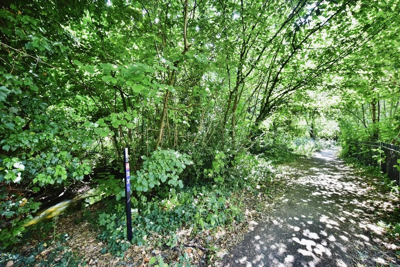 River Bank Close, Maidstone, ME15, photo 18