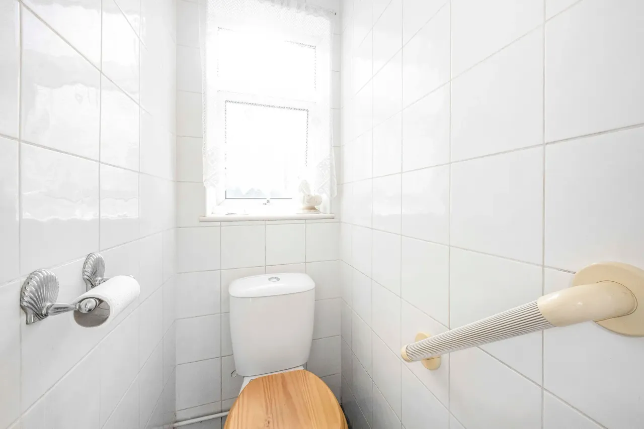 Albert Road, Leyton, E10, photo 9