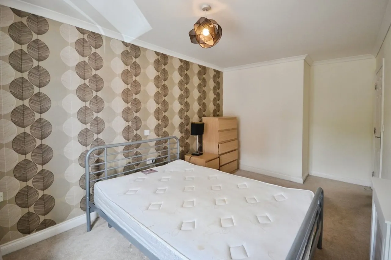 Bradgate Street , Leicester, photo 5