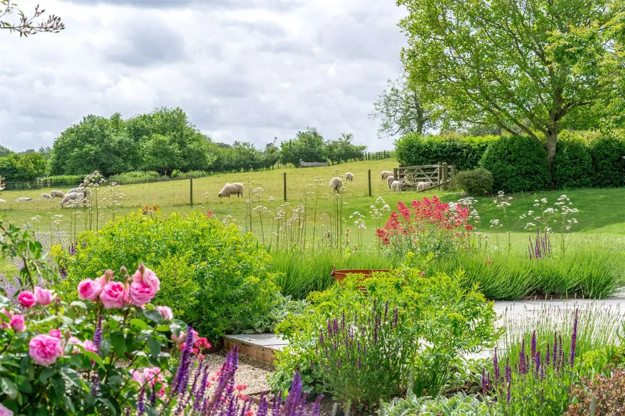 Lovington Lane, Avington, Winchester, Hampshire, SO21 1DA, photo 12