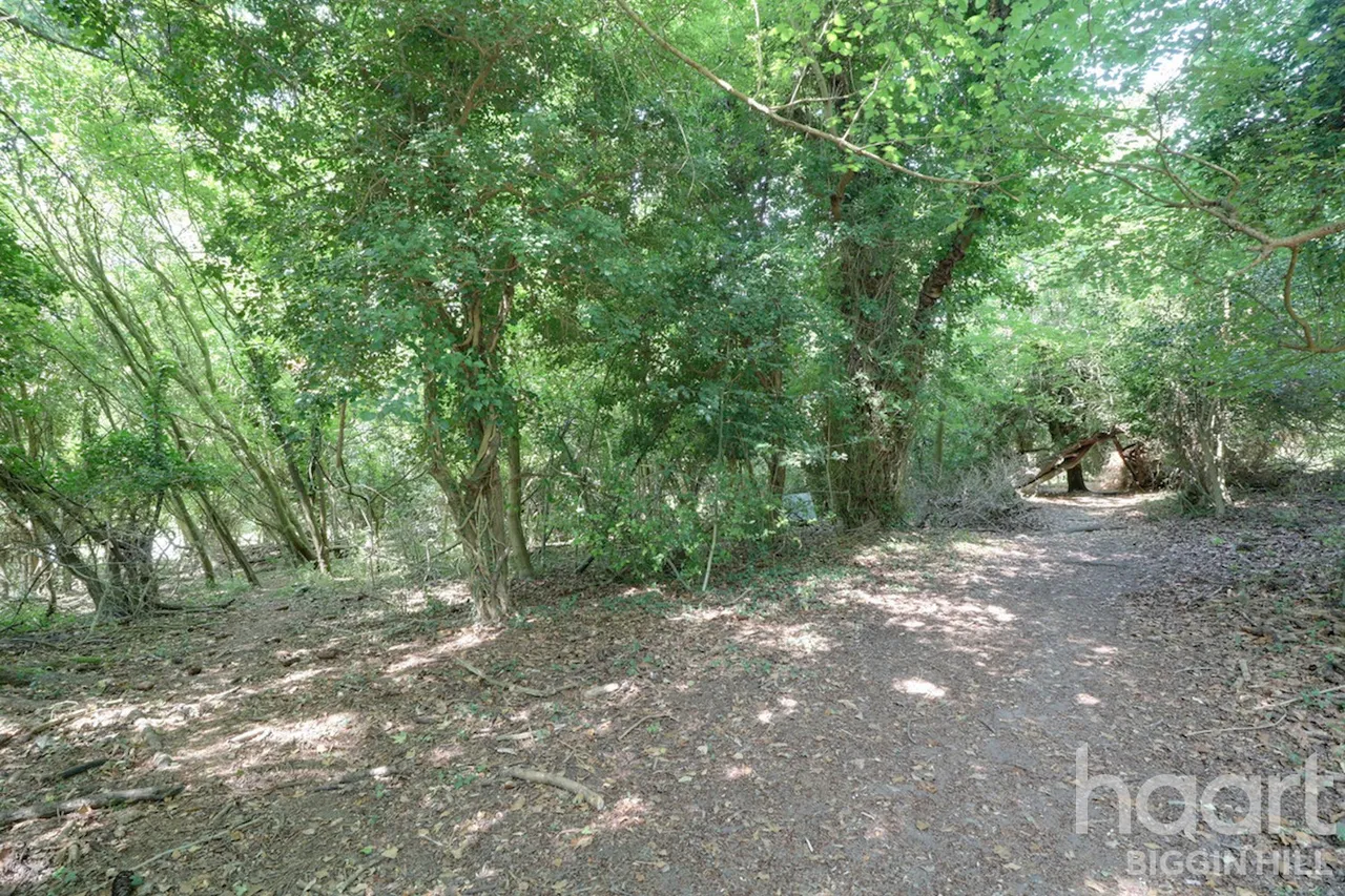 Luxted Road, Downe, BR6, photo 22
