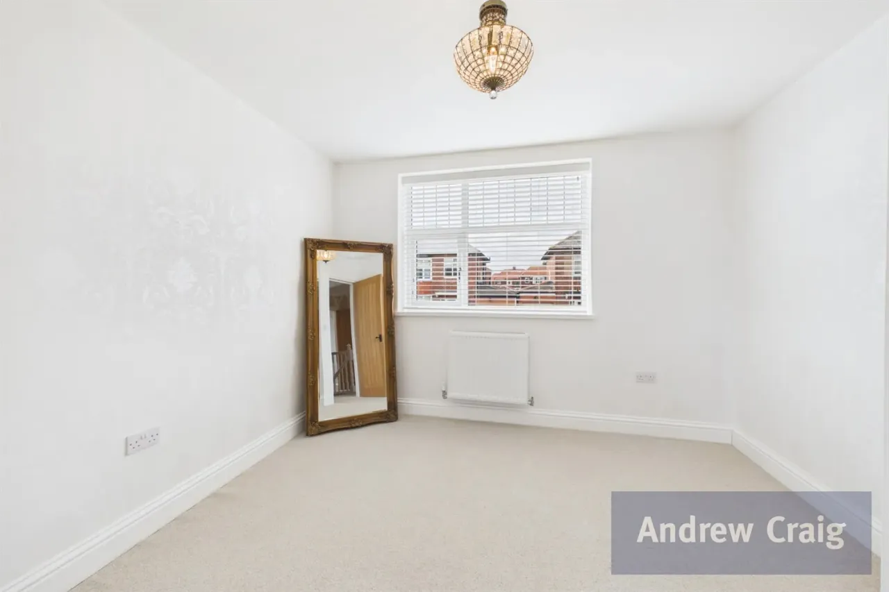 Whitby Avenue, South Bents, SR6, photo 17